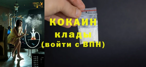 mdpv Богородицк