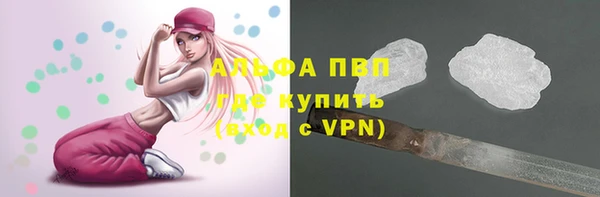 mdpv Богородицк