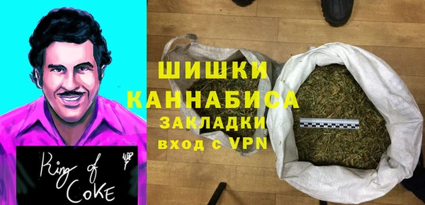 mdpv Богородицк