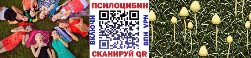 наркота  Томск  Галлюциногенные грибы Cubensis 